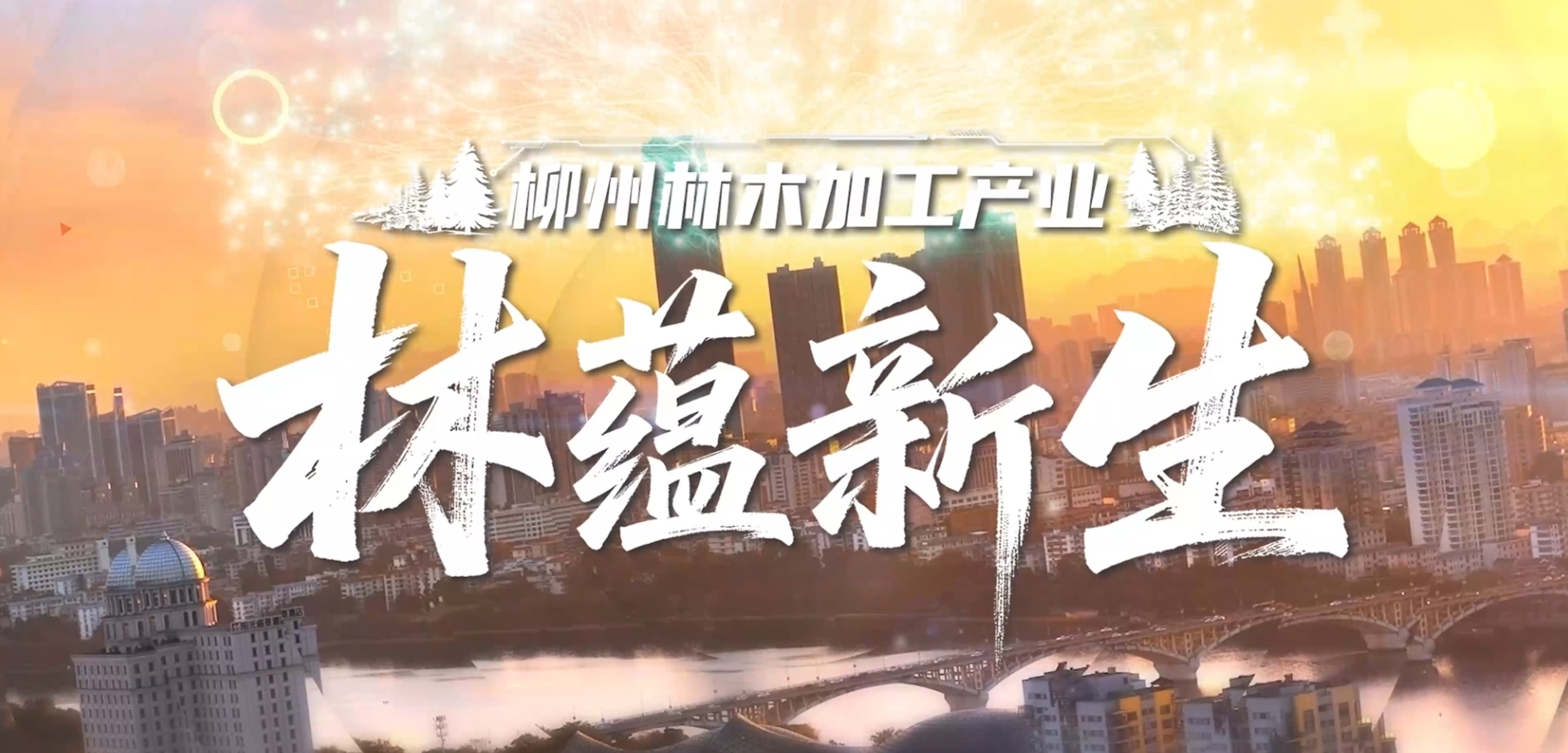 柳州林木加工产业——林蕴新生